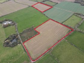 C. 21.48 Acres of Land in two fields at Lissanley, Cloyne, Co. Cork