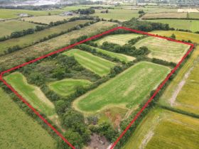 C. 16.4 acres (6.62 Hectares) of Agricultural Land at Ballyannan, Midleton, Co. Cork.  Folio CK12712